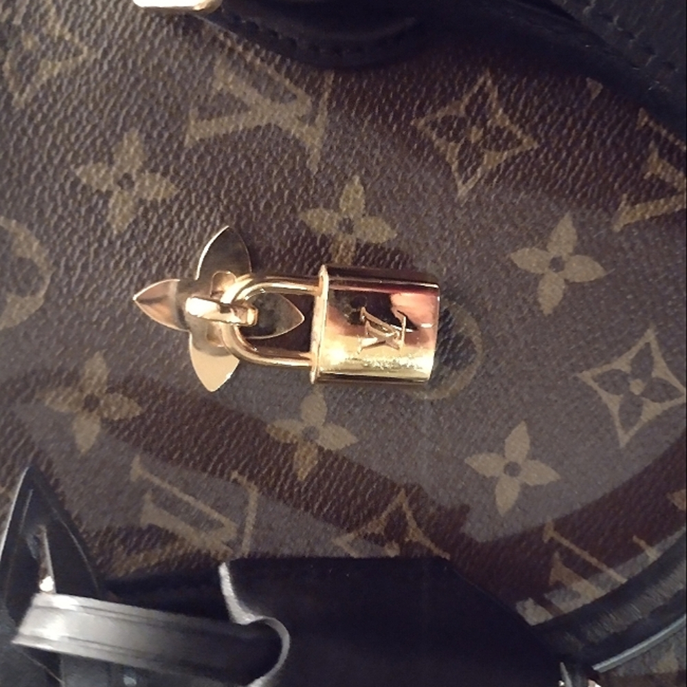 Authentic RARE & Retired Louis Vuitton Noir Flower Shoulder Bag🖤🤎 - Picture 11 of 16